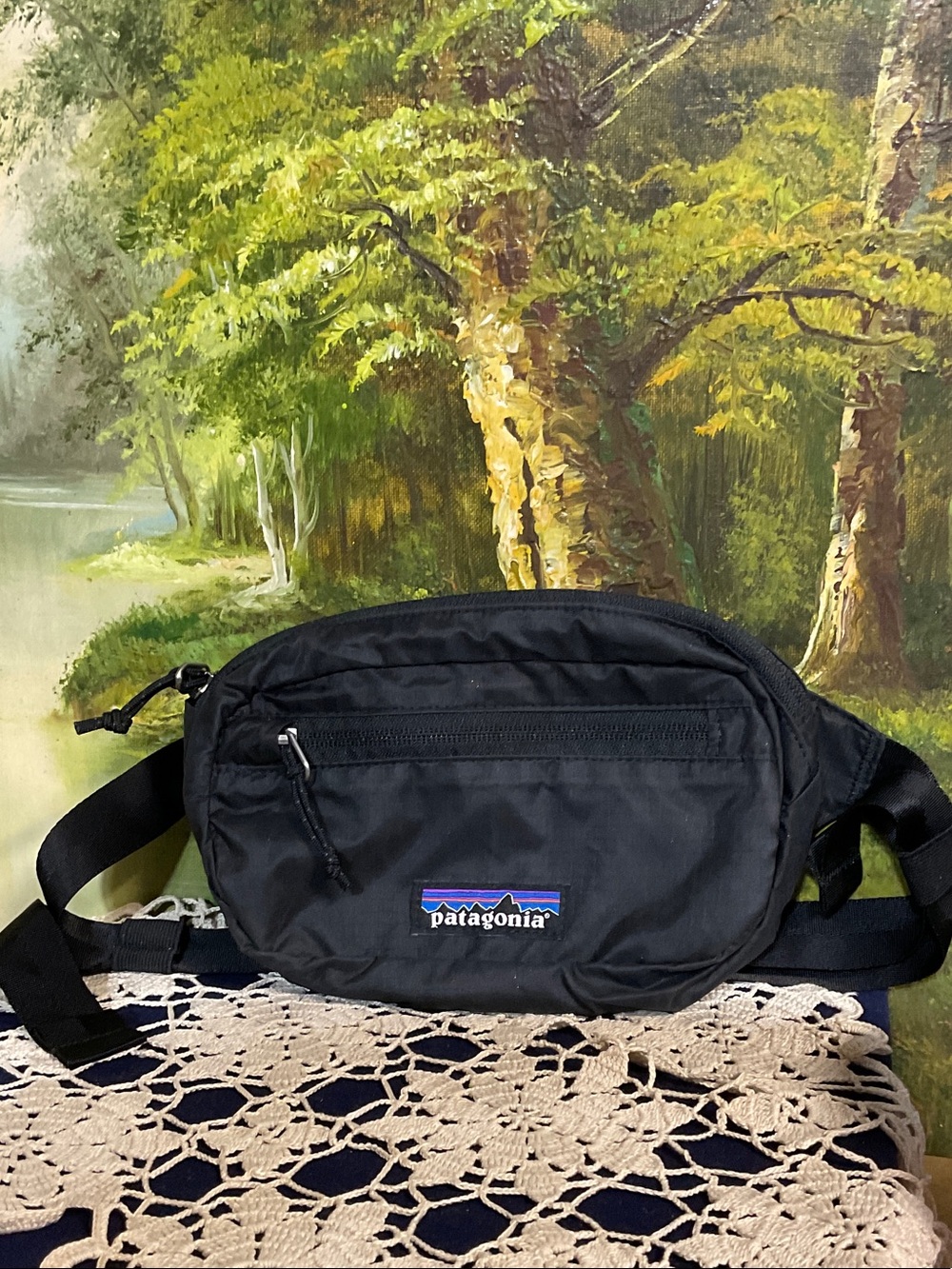 Patagonia Black Belt Pack with Front Zip Pocket